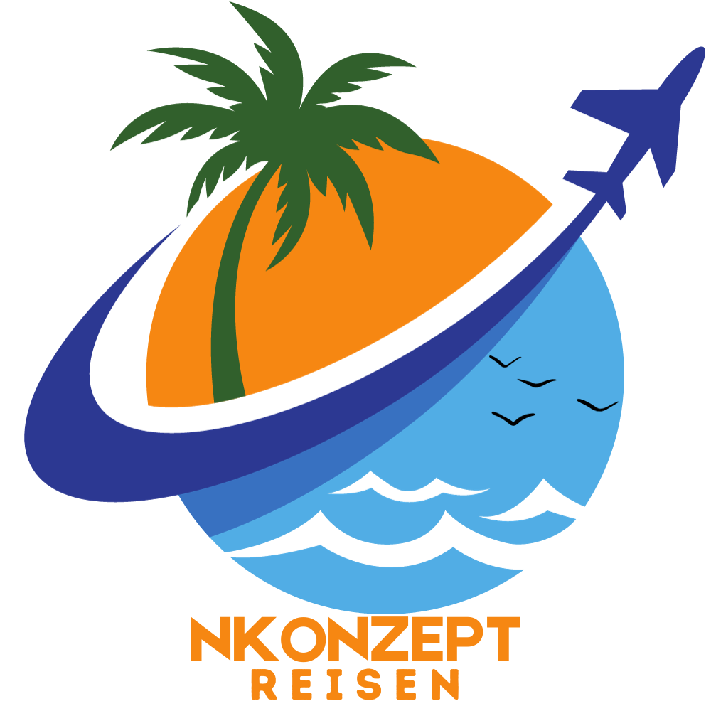 Palme Meer Flugzeug Vögel