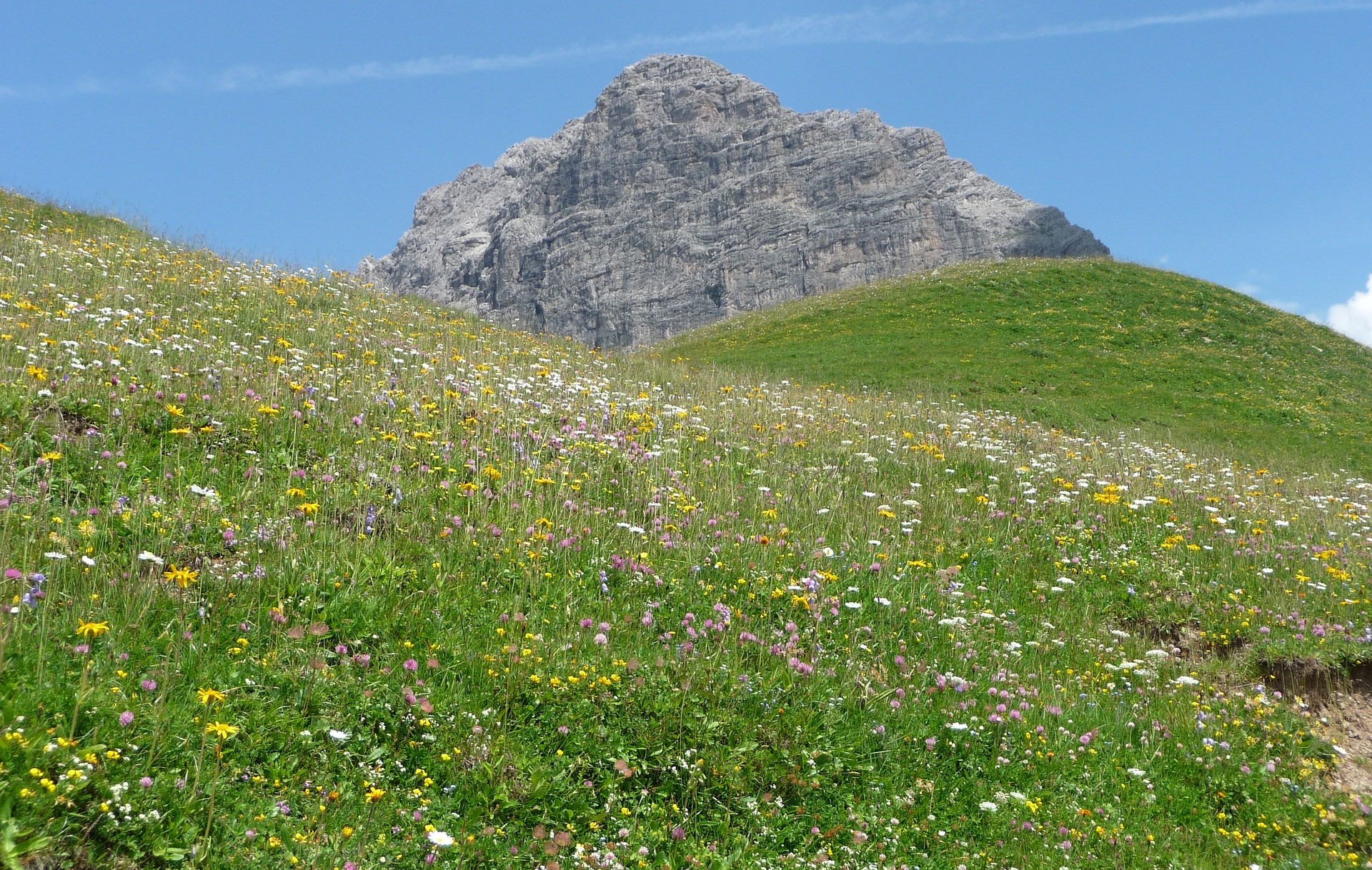 allgäu