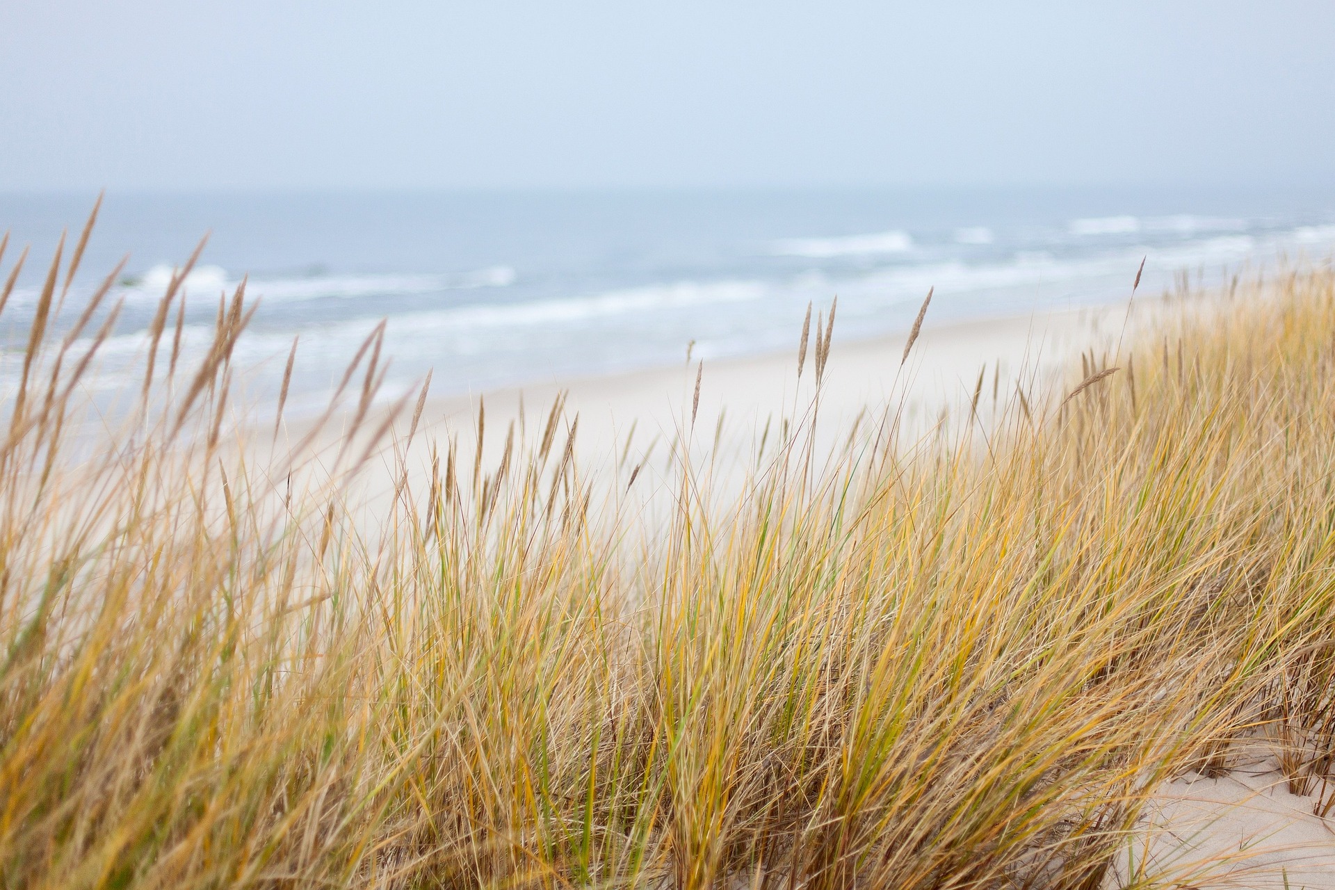Strand Ostsee